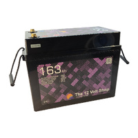 24v 163Ah LiFePO₄ Lithium Battery (NEW 2025 ABS Design)