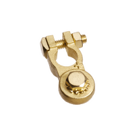 Positive Heavy Duty Brass Battery Terminal 10mm