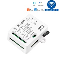 Tuya Universal Smart WiFi Relay Module (AC/DC 7–32V | Potential-Free Dry Contact Output